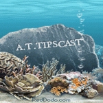 A.T.TIPSCAST etched on a rock underwater